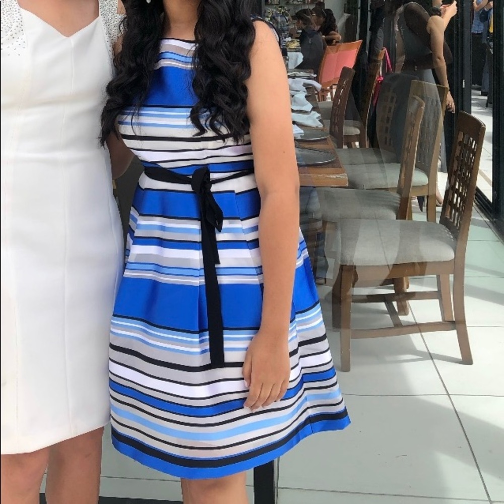 Ellen Tracy Blue and White striped dress